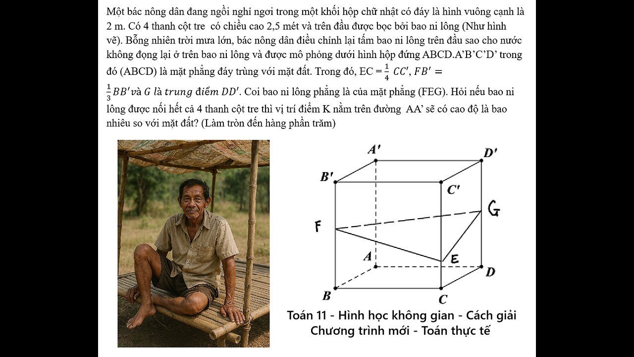 Toán 11-12: Một bác nông dân đang ngồi nghỉ ngơi trong một khối hộp chữ nhật có đáy là hình