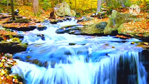 Relaxing music guitar, 🎸 relief strees and Anxiety
