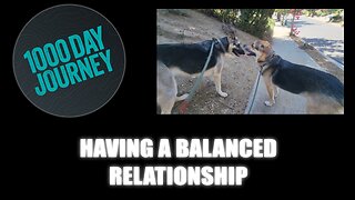 1000 Day Journey 0735 Having a Balanced Relationship