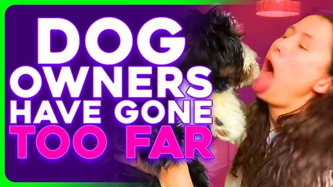 Dogs Have INVADED Public Life