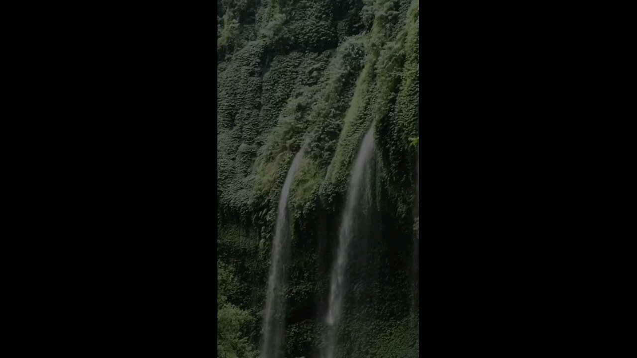 请复习这周经文 和祷告。 感谢主赐我们一切, 并且与我们同在。 阿门