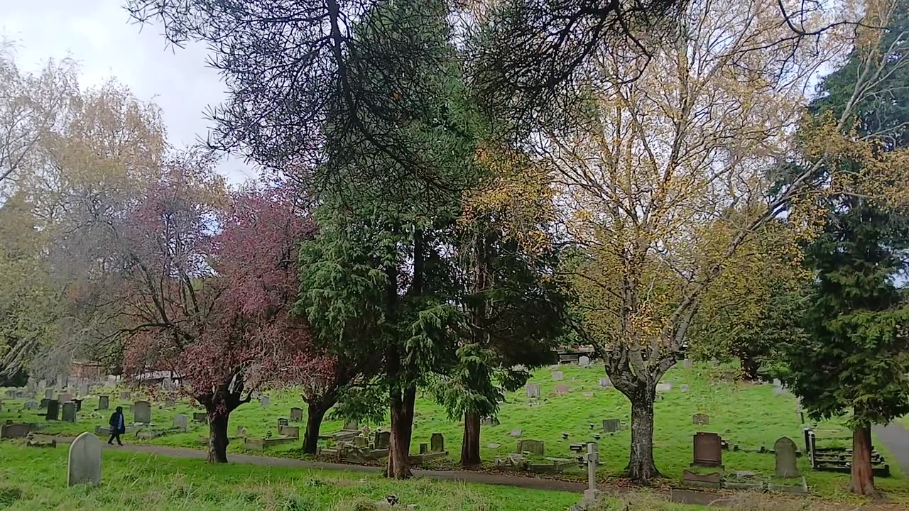 Inspired by Musk's search for god