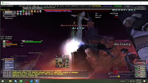 Playing Final Fantasy XI Online