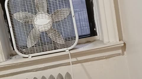 Protesters blast Trump outside Brooklyn jail where Maduro is held