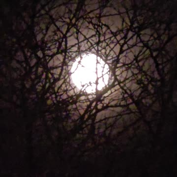 Burton ohio Christmas 2025.