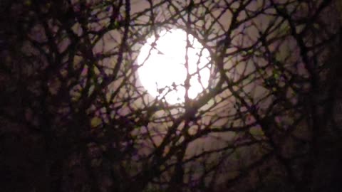 Burton ohio Christmas 2025.