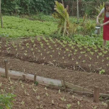 3 Genius Native American Gardening Hacks 🌽