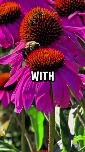 Properties of the these herbs 🌿 everyone should know