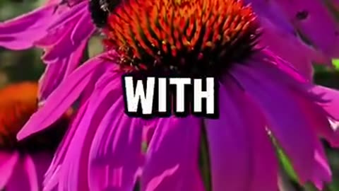 Properties of the these herbs 🌿 everyone should know