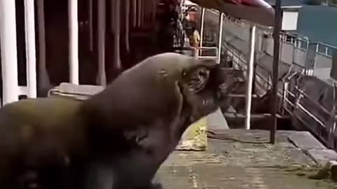 💥 Outta Nowhere! Unexpected Surprise in the Most Bizarre Way | FunFM