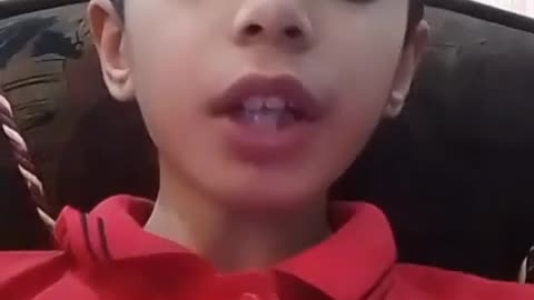 Mannerism Video