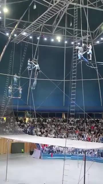 Hard Working Circus