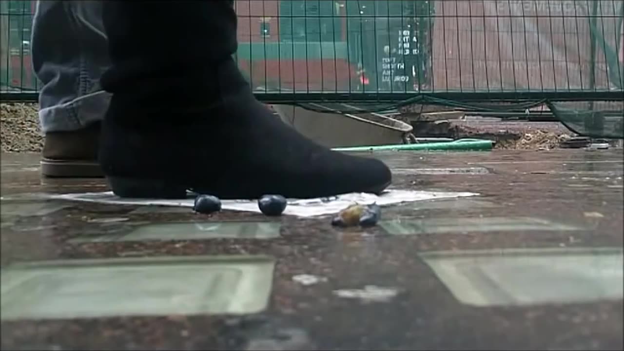 Wet Trample - Candid