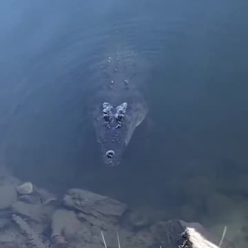 The reason you should avoid the water in Australia