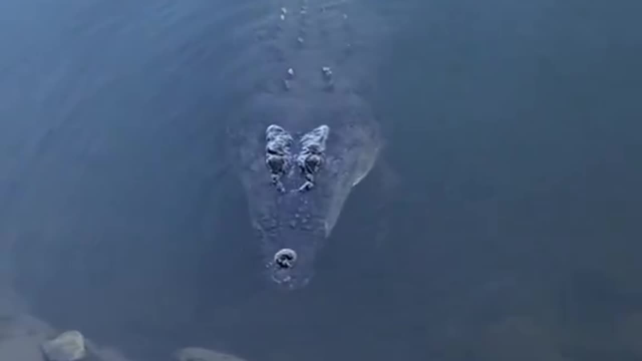 The reason you should avoid the water in Australia