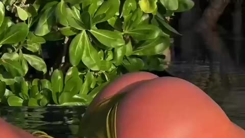 Sexy 😍 girl hot 🔥 tiktok nude Black tape swimsuit story ...sexy hot bikini beach nude