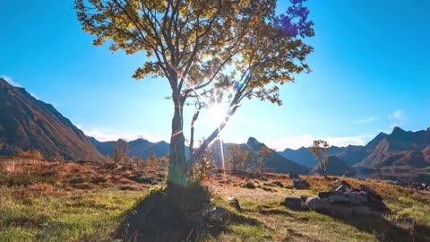 Quiet Glow Lofi House Session