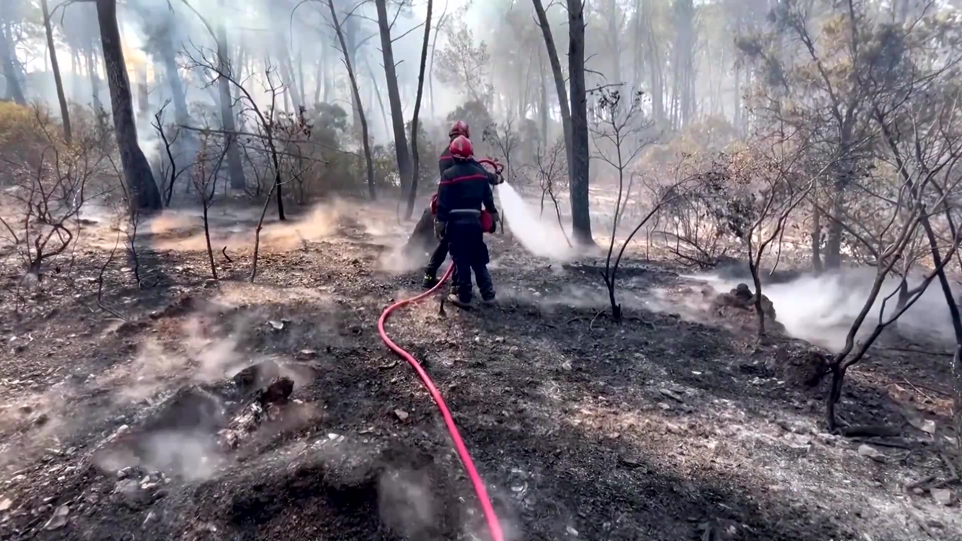 Were at war: Local helps firefighters battle huge French wildfire