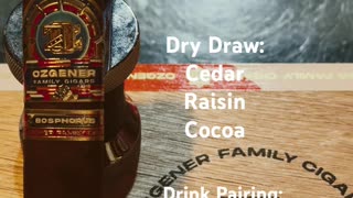Bosphorus (Ozgener Family Cigars) 5x52 Robusto #Shorts #CigarOfTheDay #Short #Review