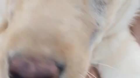 😍