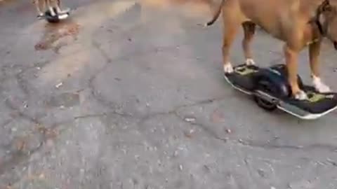 Big Wheel Time