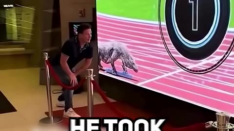 The Most Reckless Race