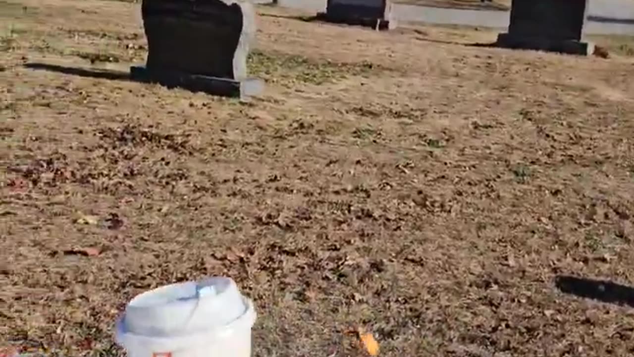 Happy Heavenly Birthday