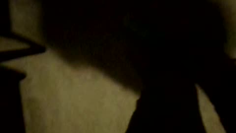 Explaining origins of gabber