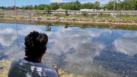 Shrimp Bait Fishing Adventure: Multiple Catches & a Fish Frenzy Pt.1