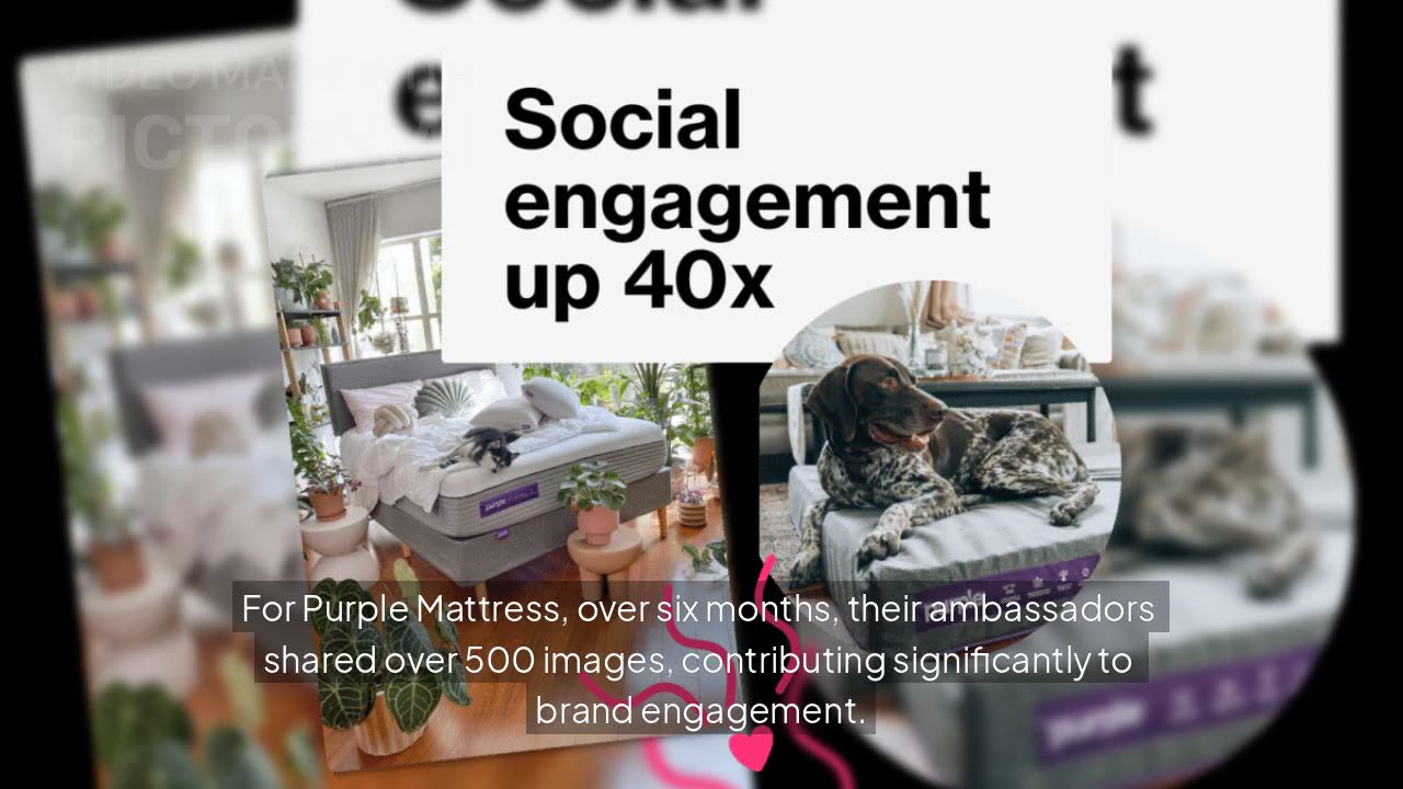 $1.9M in Value From UGC? Inside Purple & Blendtec’s Ambassador Strategy