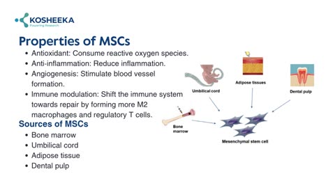 Exploring the Diverse Applications of Animal Cell Culture