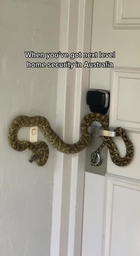 When you’ve got next level home security in Australia 🇦🇺😅