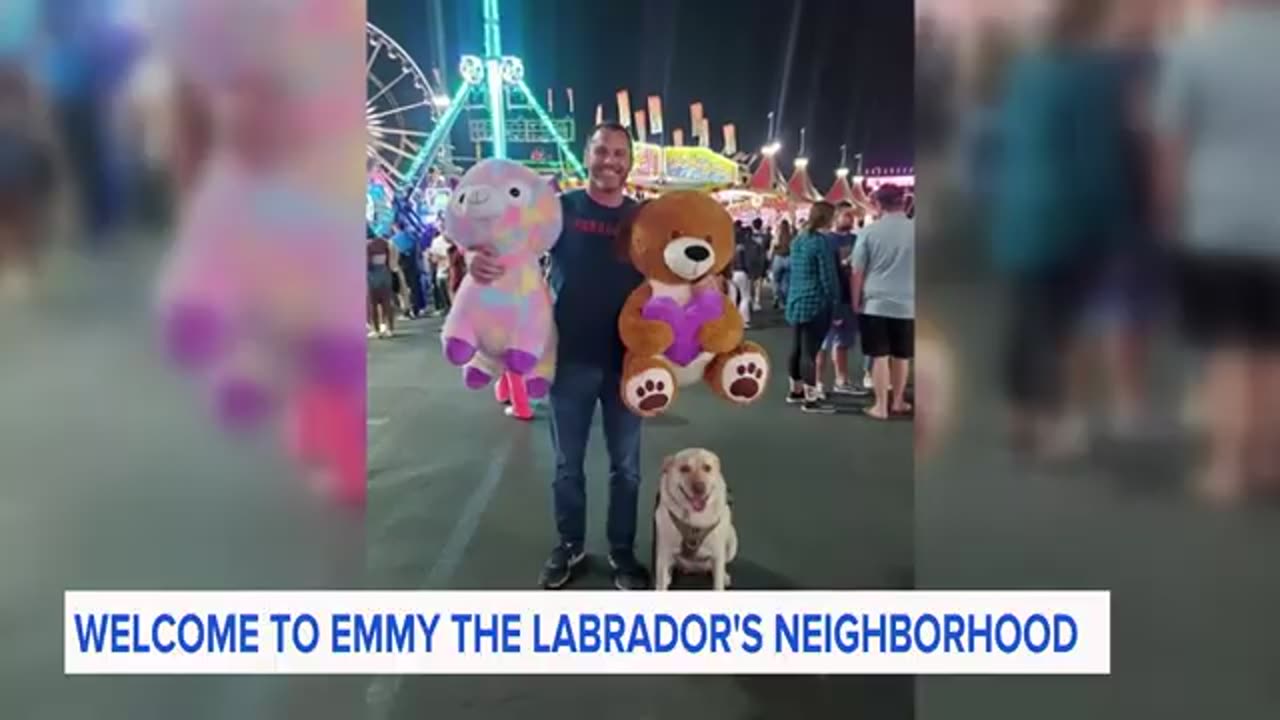 Dynamic_dog_s_daily_visits_to_neighbors__never_gets_old_