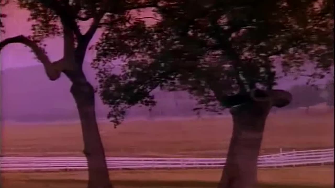 Rod Stewart - Forever Young