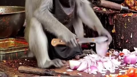 Monkey KFS