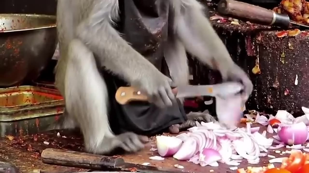 Monkey KFS