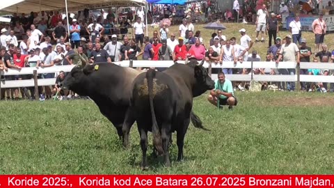 Korida Omazići Banovići 2025