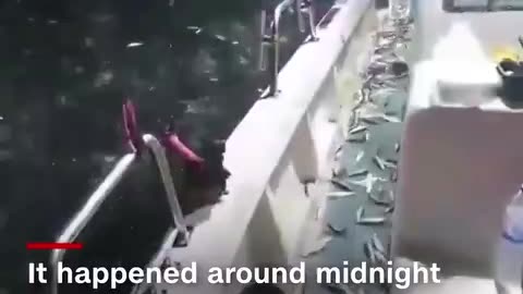 Des sardines sautent sur le bateau d'un pêcheur
