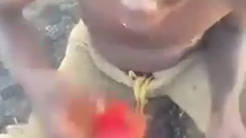 Unedited raw footage of a Negro in the wild 🐒🐒🐒