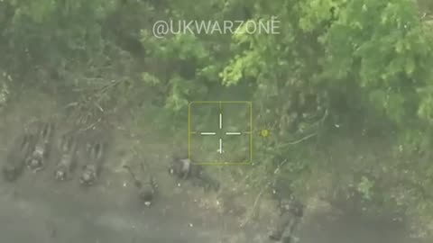 Entire Russian Squad Surrenders
