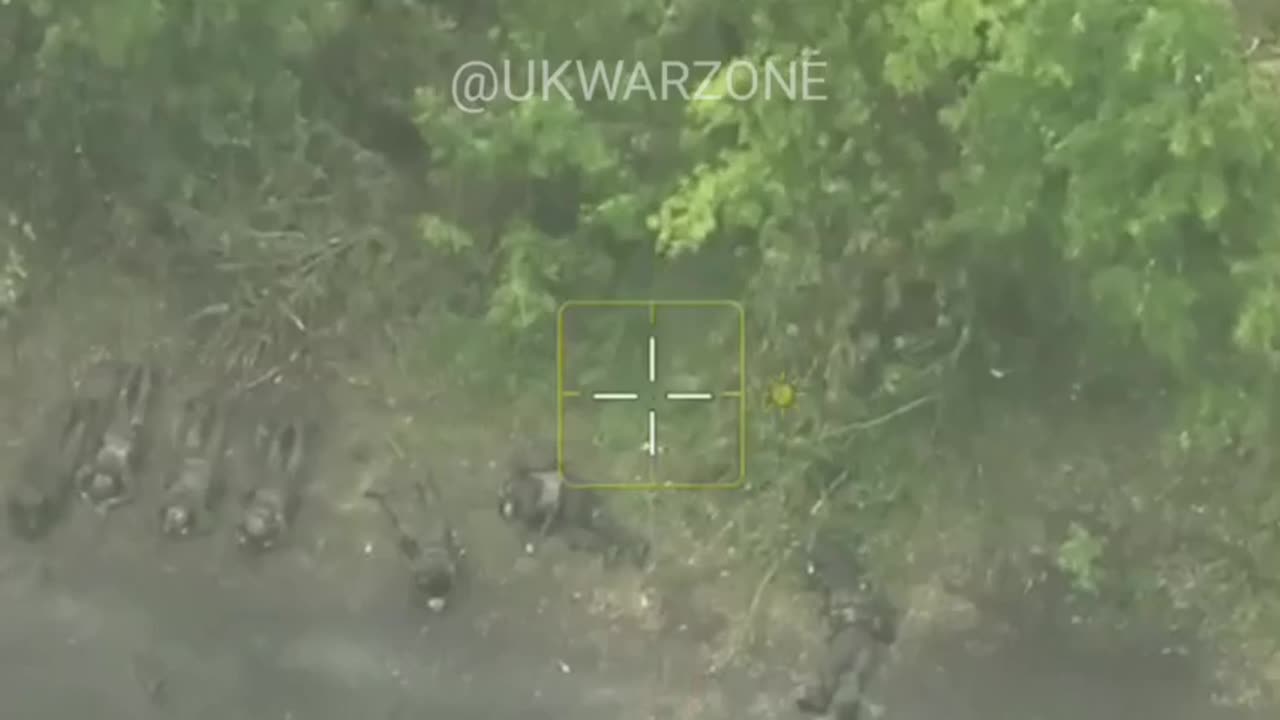 Entire Russian Squad Surrenders