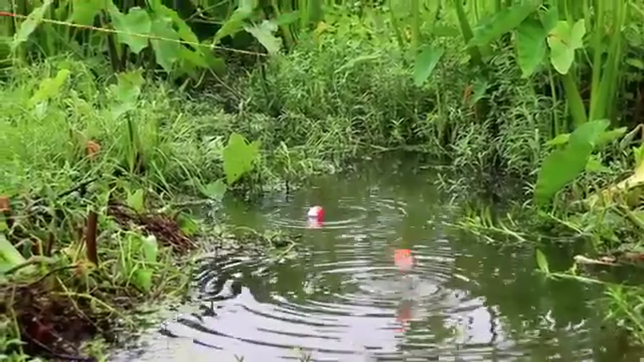 Fishing & Big Fish