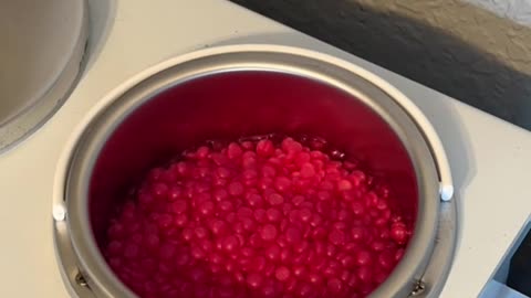 Sexy Smooth Tickled Pink Hard Wax Review | Fast Melting, Beautiful Finish | @esti.caitlin