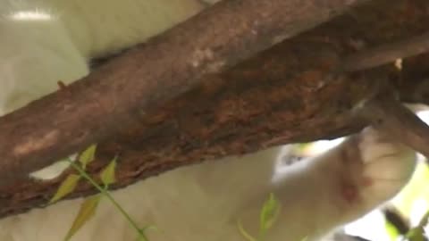 God you won’t be able to function in higher realms without knowing the basic spiritual principles.