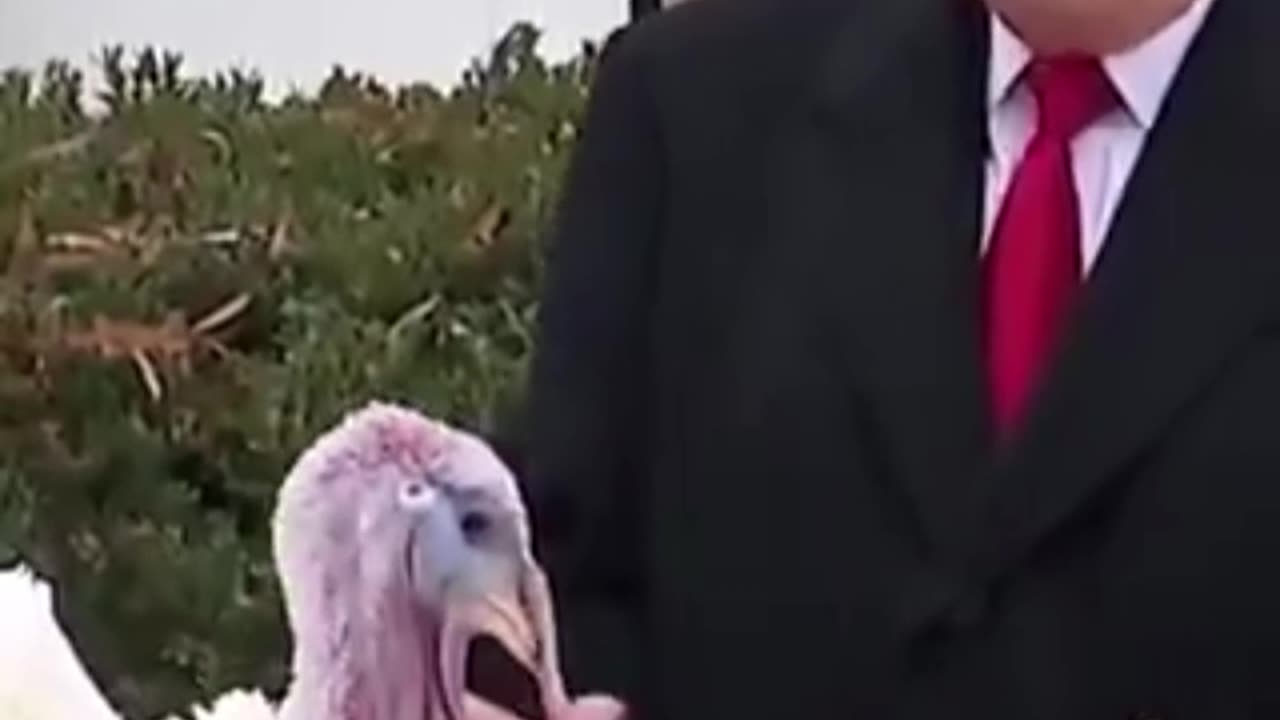 Donald Trump pardons a turkey