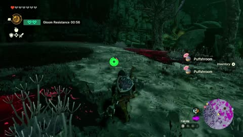 Zelda TOTK ONE LIFE #26