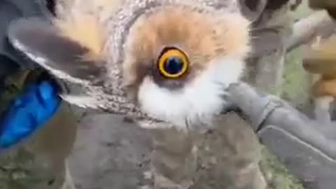 Ukriane war related /combat footage 12/23/2025