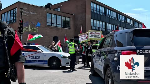 This Land is Palestine