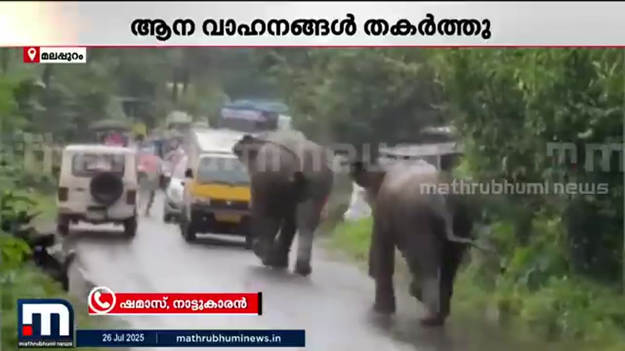 _ആന_കുത്തിമറിച്ചത്_ആളില്ലാത്ത_വണ്ടിയാണ്,_കഴിഞ്ഞവർഷവും_ഇതുപോലെ_ആനകളിറങ്ങീട്ടുണ്ട്____Ma