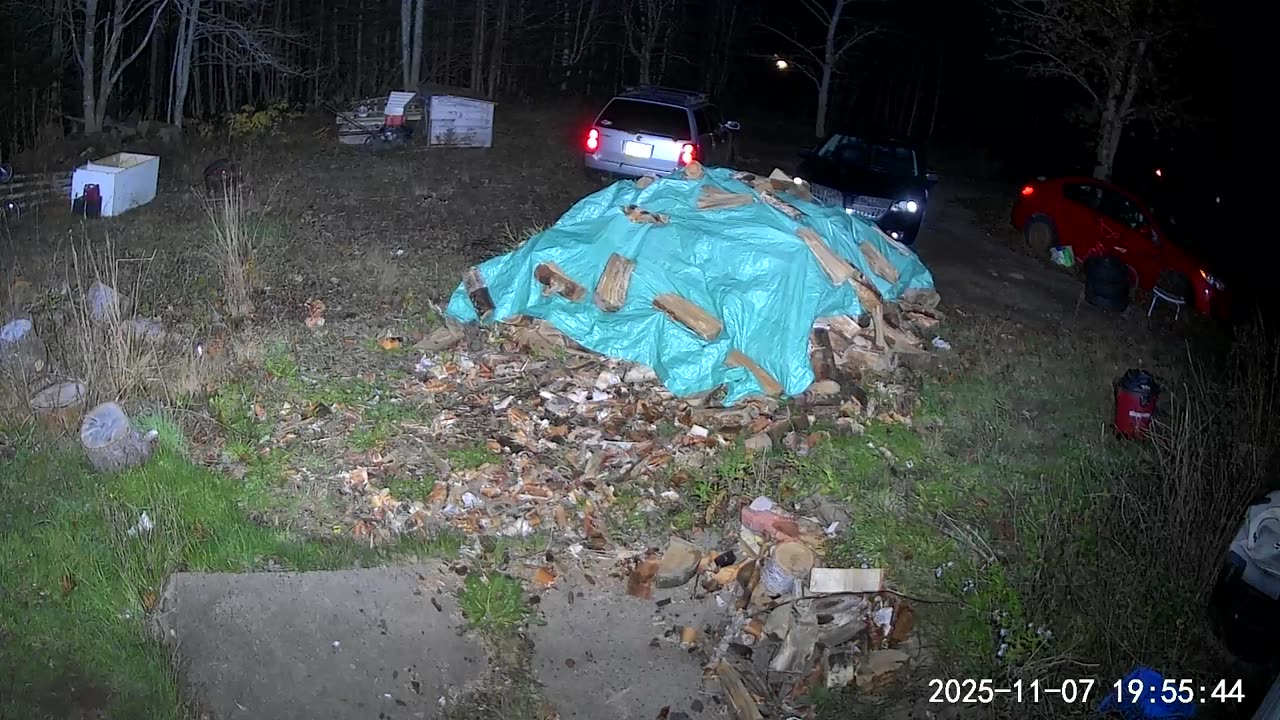 Does this sound like a gunshot to anyone!